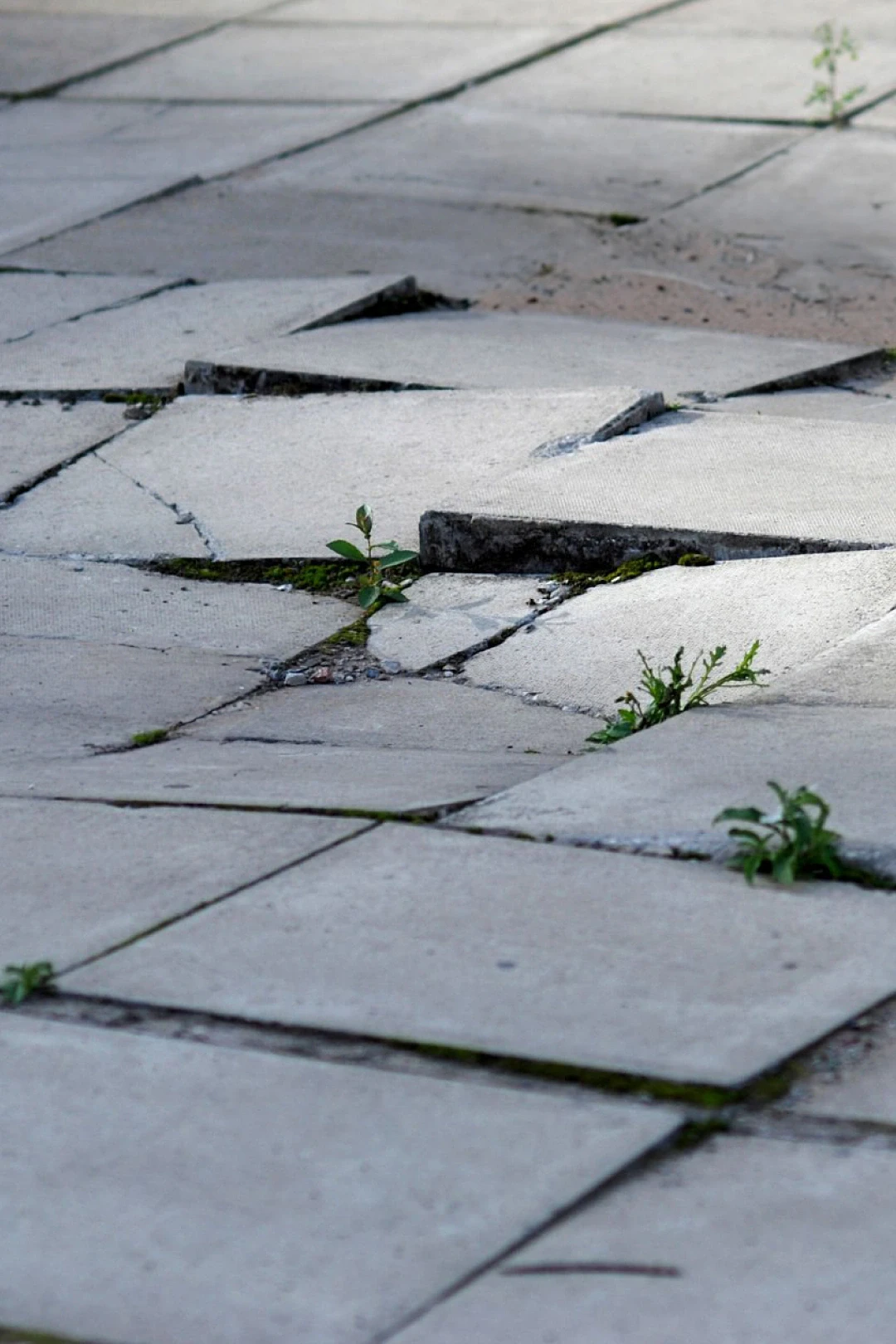 outdoor kitchen floor damaged