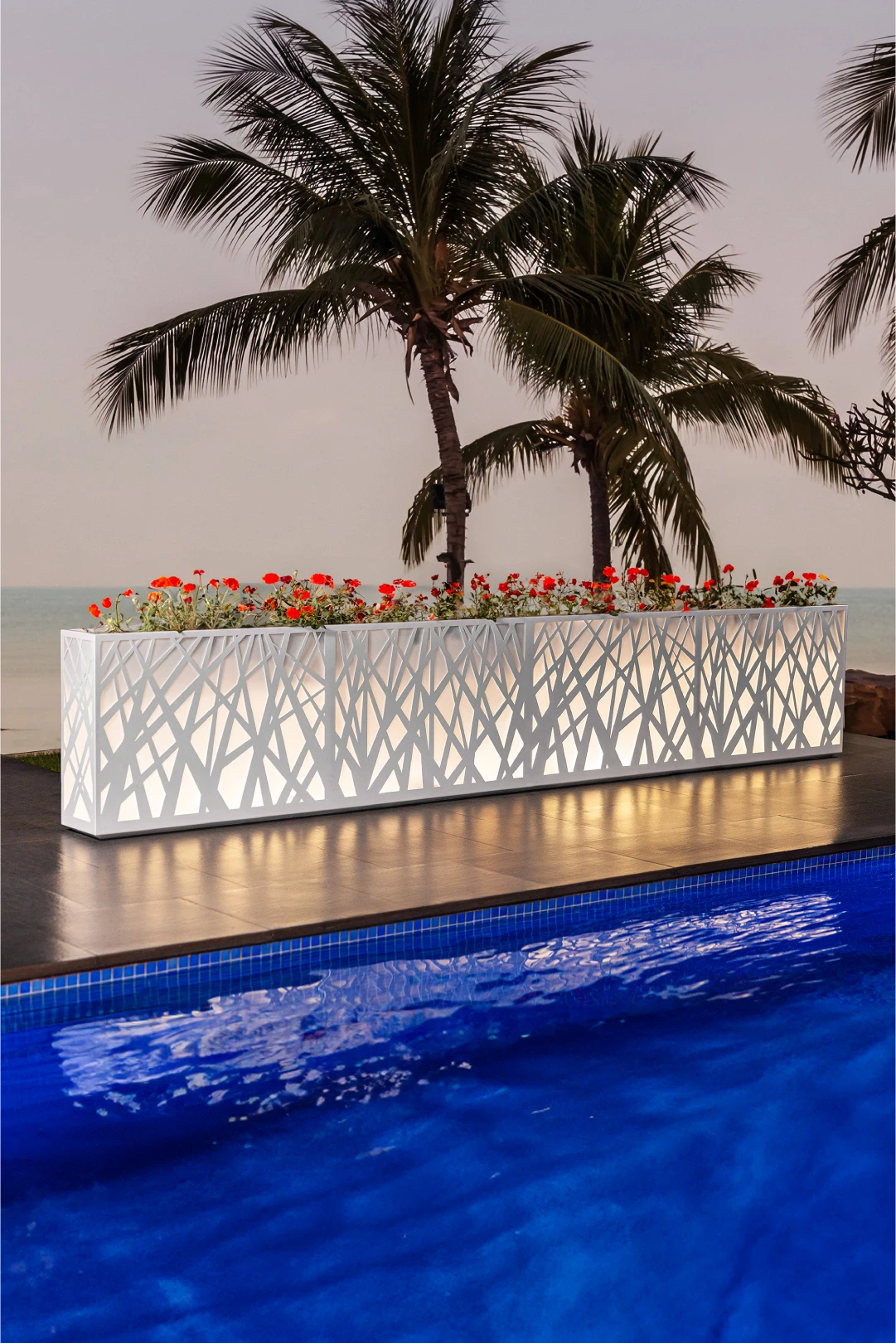 lighted outdoor plants