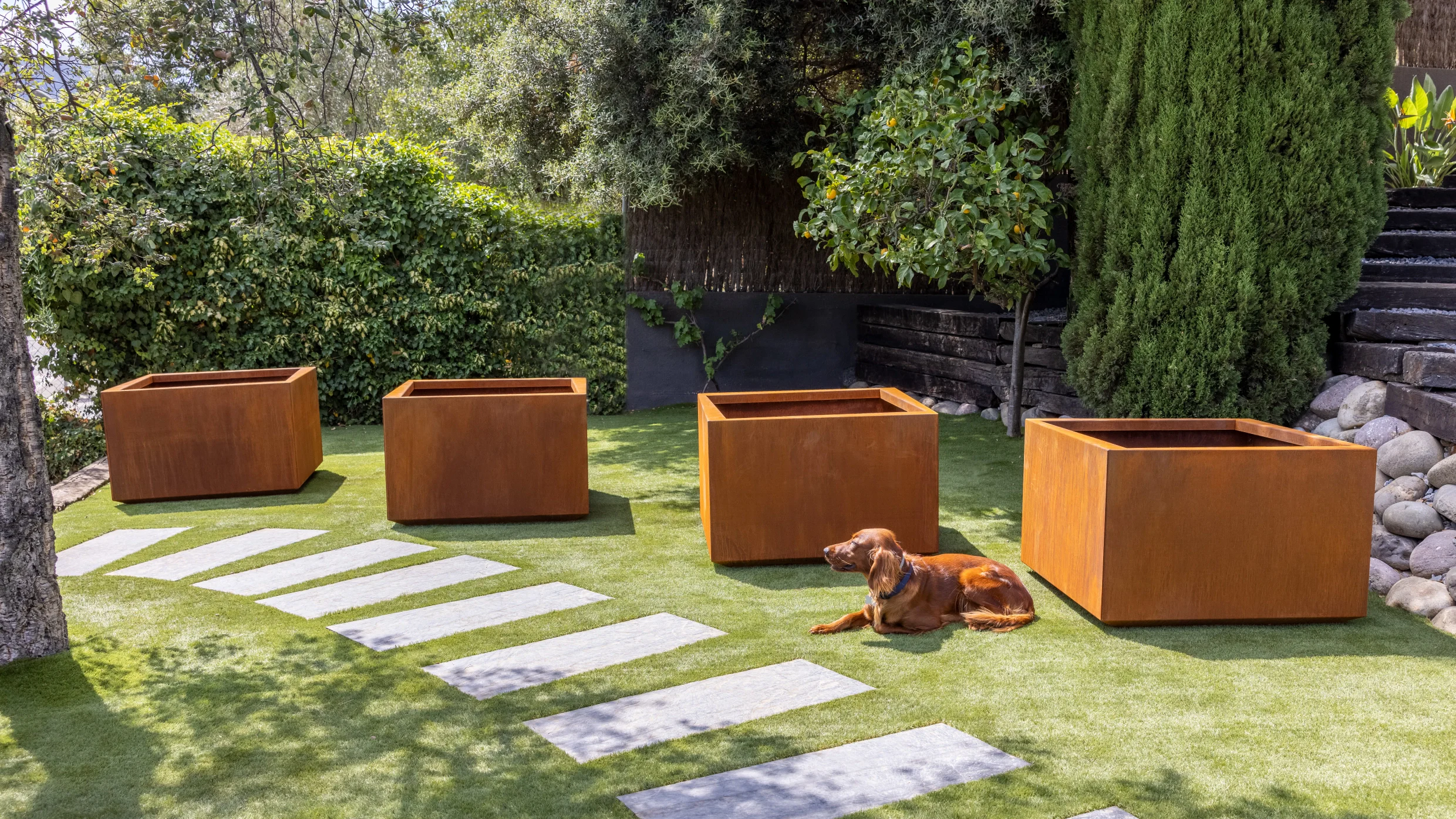 square planters outdoor