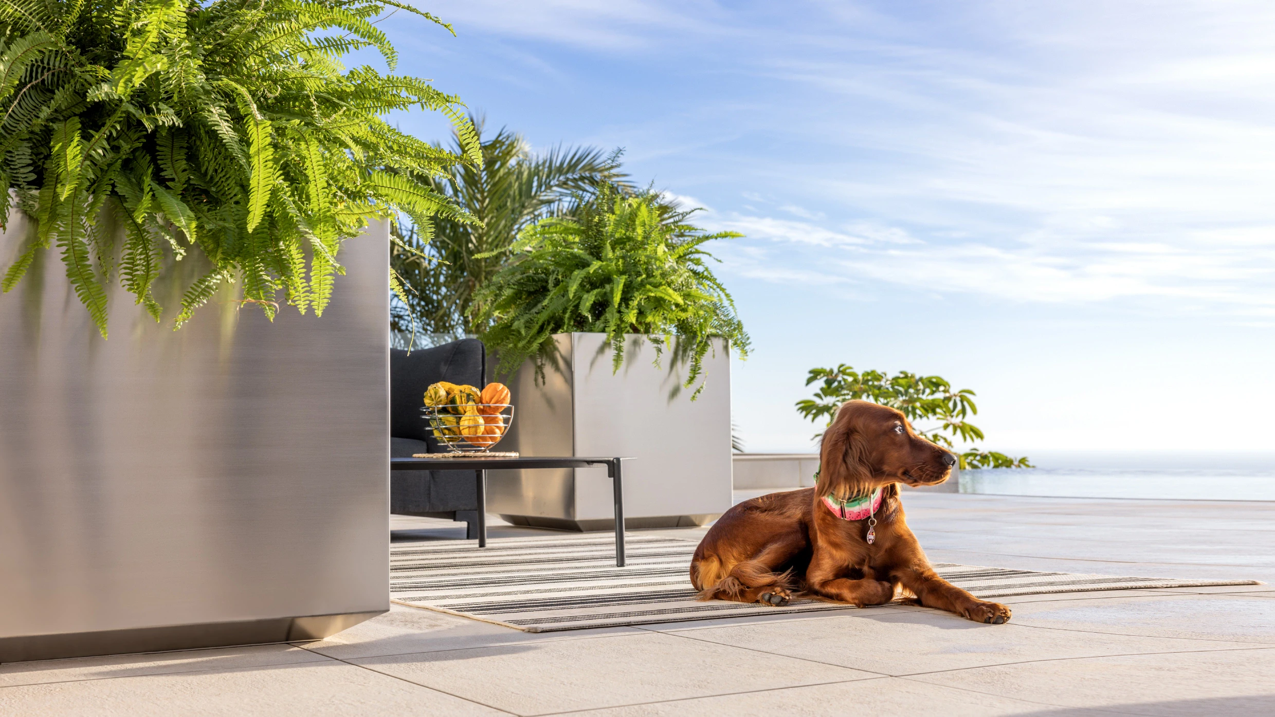 stainless steel planters