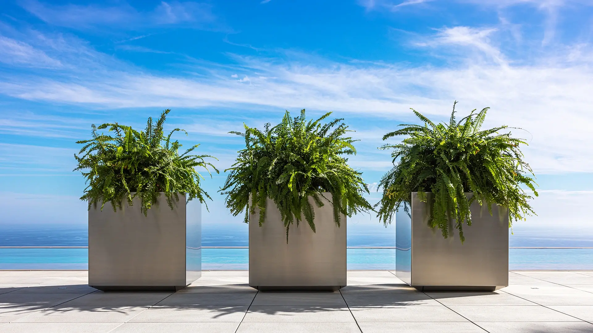 stainless steel planters